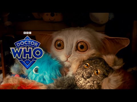 Read more about the article Donna meets Meep